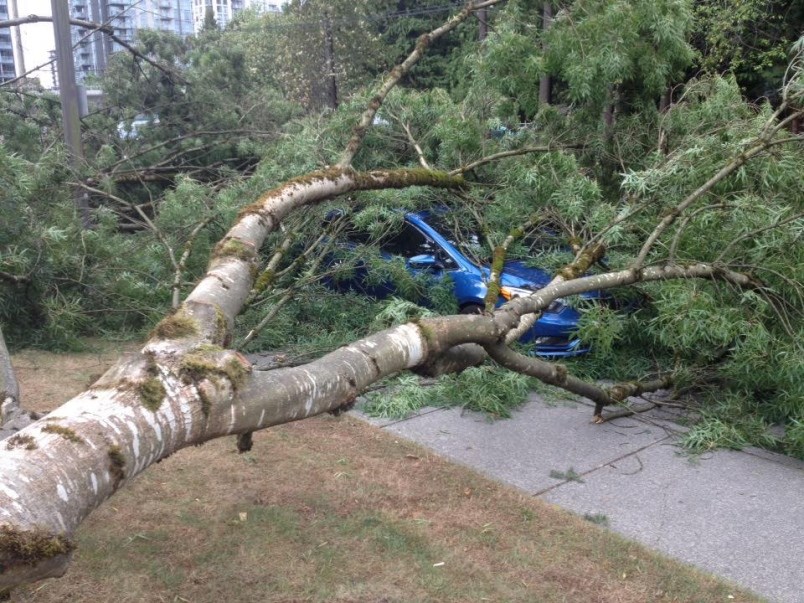 Windstorm