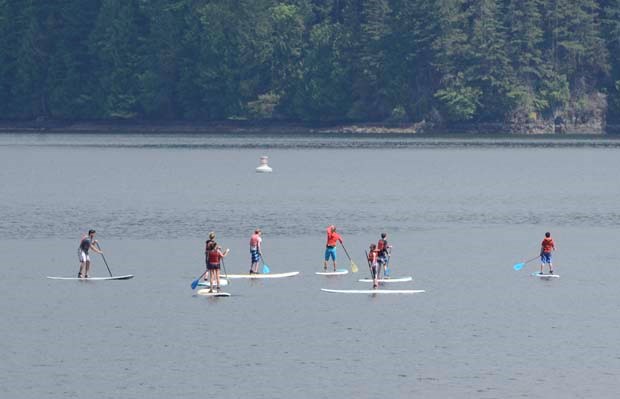 paddle boards