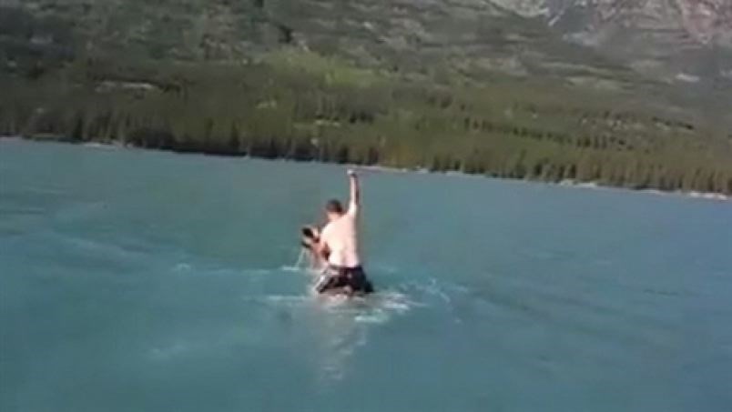 moose-rider-incident.02.jpg