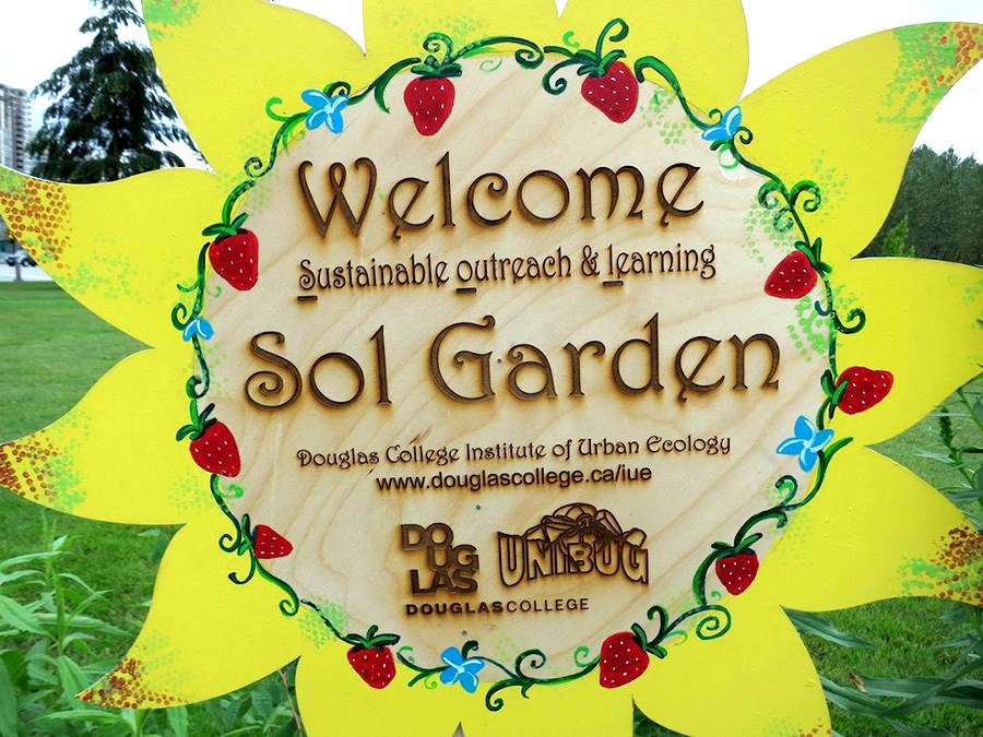 Douglas College’s SOL Garden opened last month.