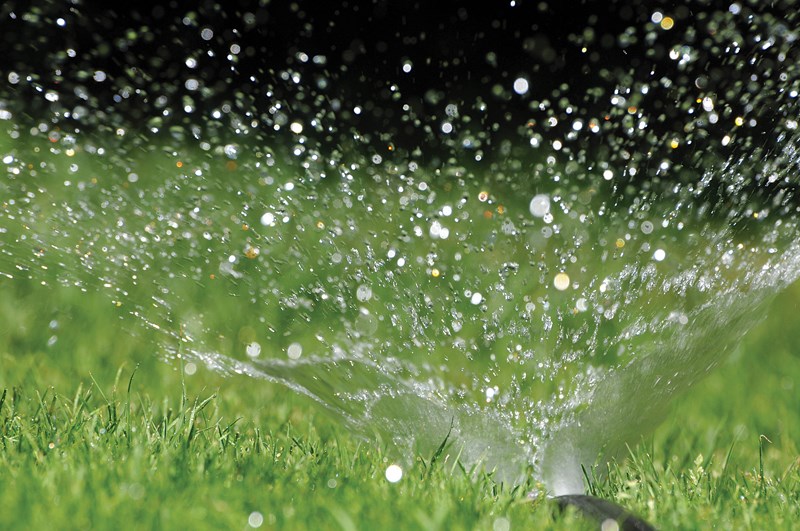New conservation campaign encourages water appreciation