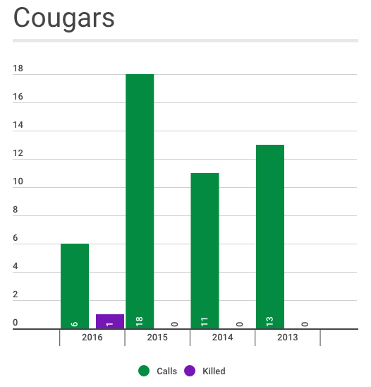 Cougars