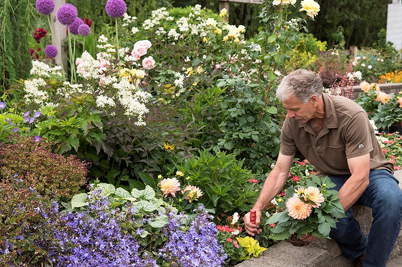 communities in bloom