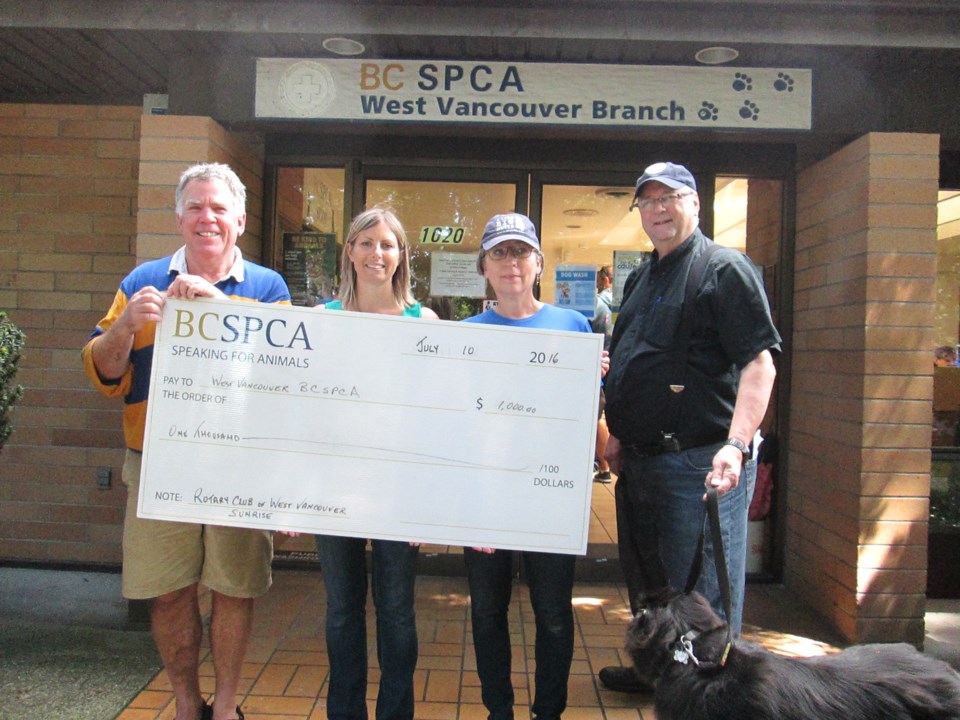 spca donation