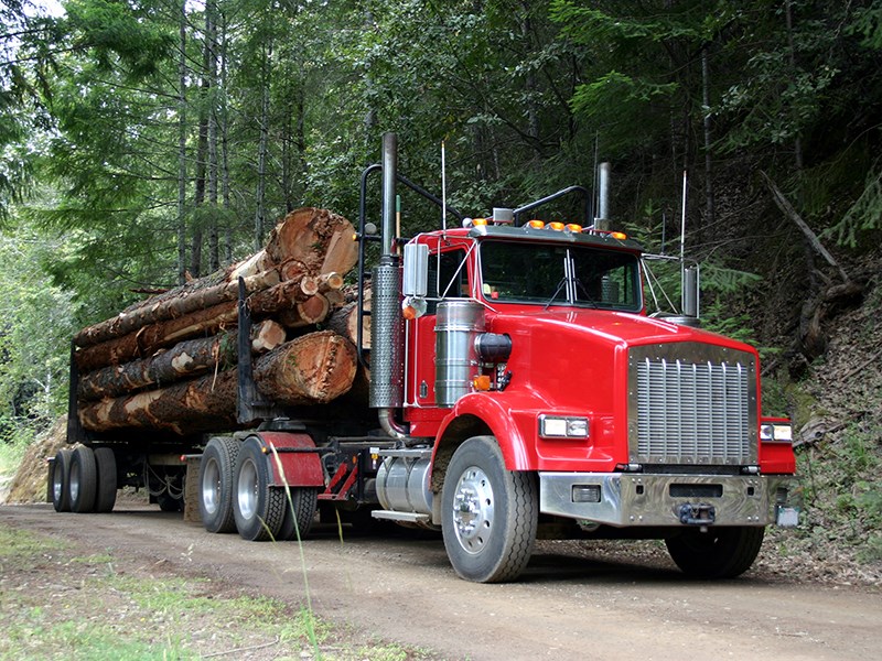 logging