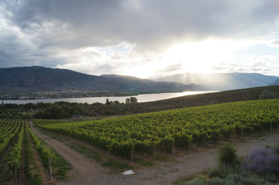 Travel Osoyoos: Take a long weekend in Canada’s desert_1