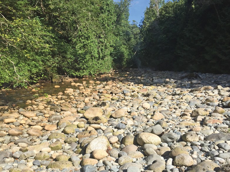 chapman creek