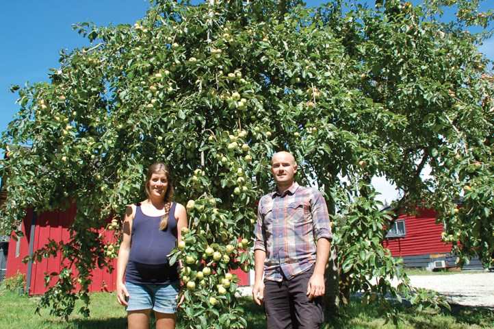bricker cider co