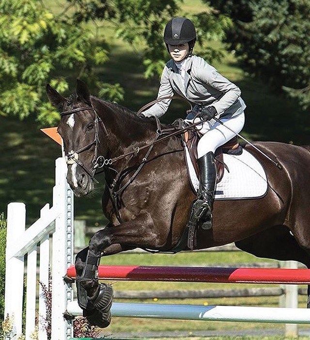 equestrian