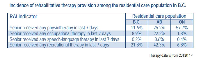 Physiotherapist care