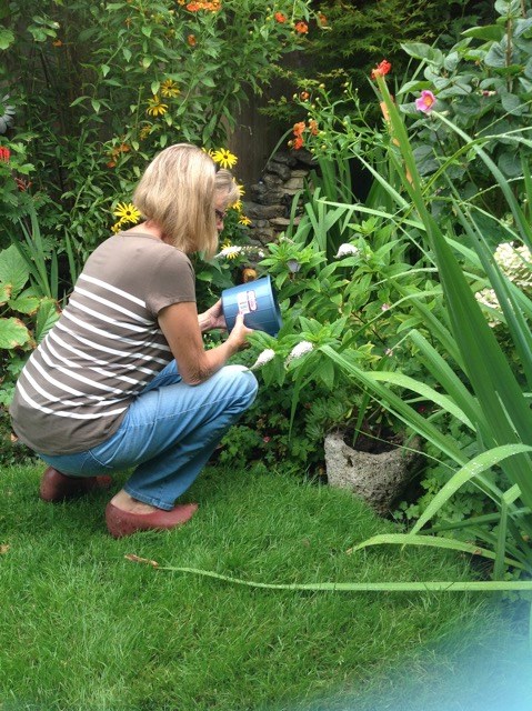 gardening