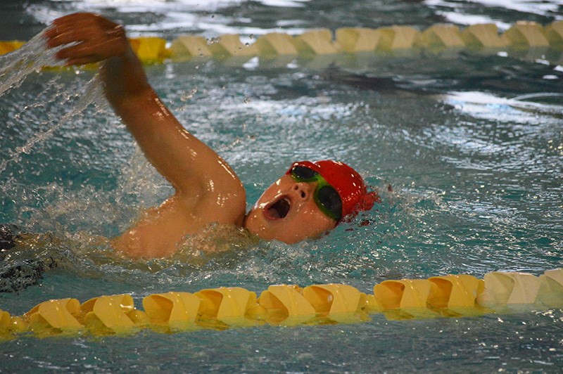 The Pirates' Ryan Sweeny swims freestyle during this weekend's meet.