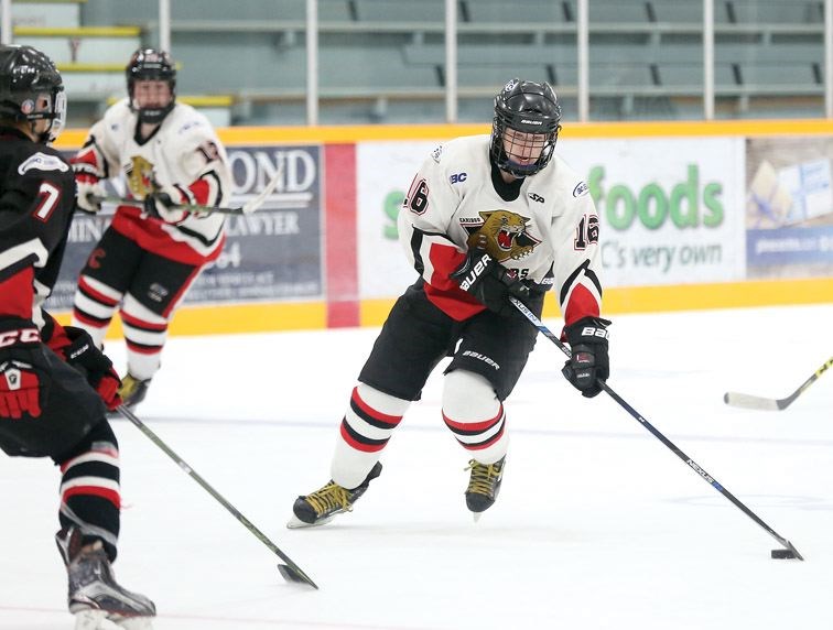 SPORT-midget-cougars.10.jpg