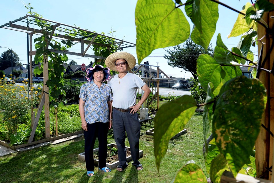 Like many immigrant Asian seniors, Jason Lee and his wife, Jean, grow a colourful mix of eastern and western crops in their East Van garden. Photo Jennifer Gauthier