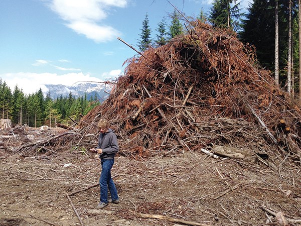 slash pile