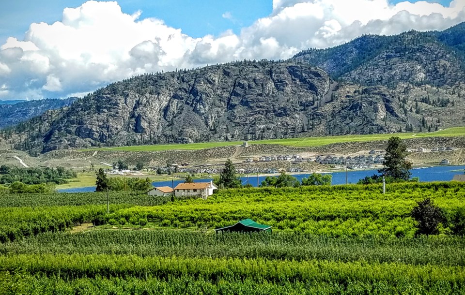 Not only does Osoyoos offer some of the best wines available from B.C., the gorgeous views make it a