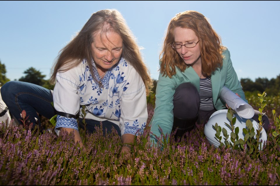 Environmentalist Sharon MacGougan, left, and engineer Laurel Morgan assess some sphagnum moss on the Garden City Lands