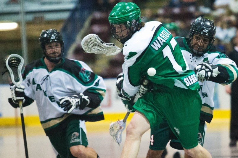 Lakers shamrocks