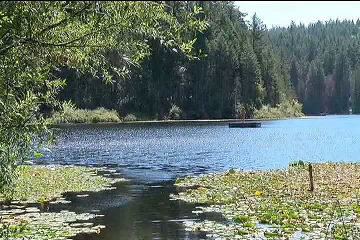 Two men drown in Weston Lake on Salt Spring Island on Aug. 16.