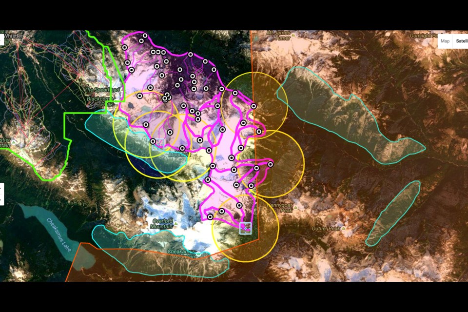 The pink lines are named and mapped heli-ski runs in the Whistler Heli Skiing tenure that end at small black circles. The small black circles are helicopter landing zones where the skiers are picked up by helicopter at the end of their ski run. Four of these landing zones are within the orange conservation zone shaded on the map. The yellow circles are the 2 km noise radius around each helicopter landing zone. Ministry of Environment guidelines state that there should be a 2 km separation between helicopter operations and a mountain goat winter ungulate range, whether in the conservation zone or not. The goat ranges are the areas outlined in cyan.