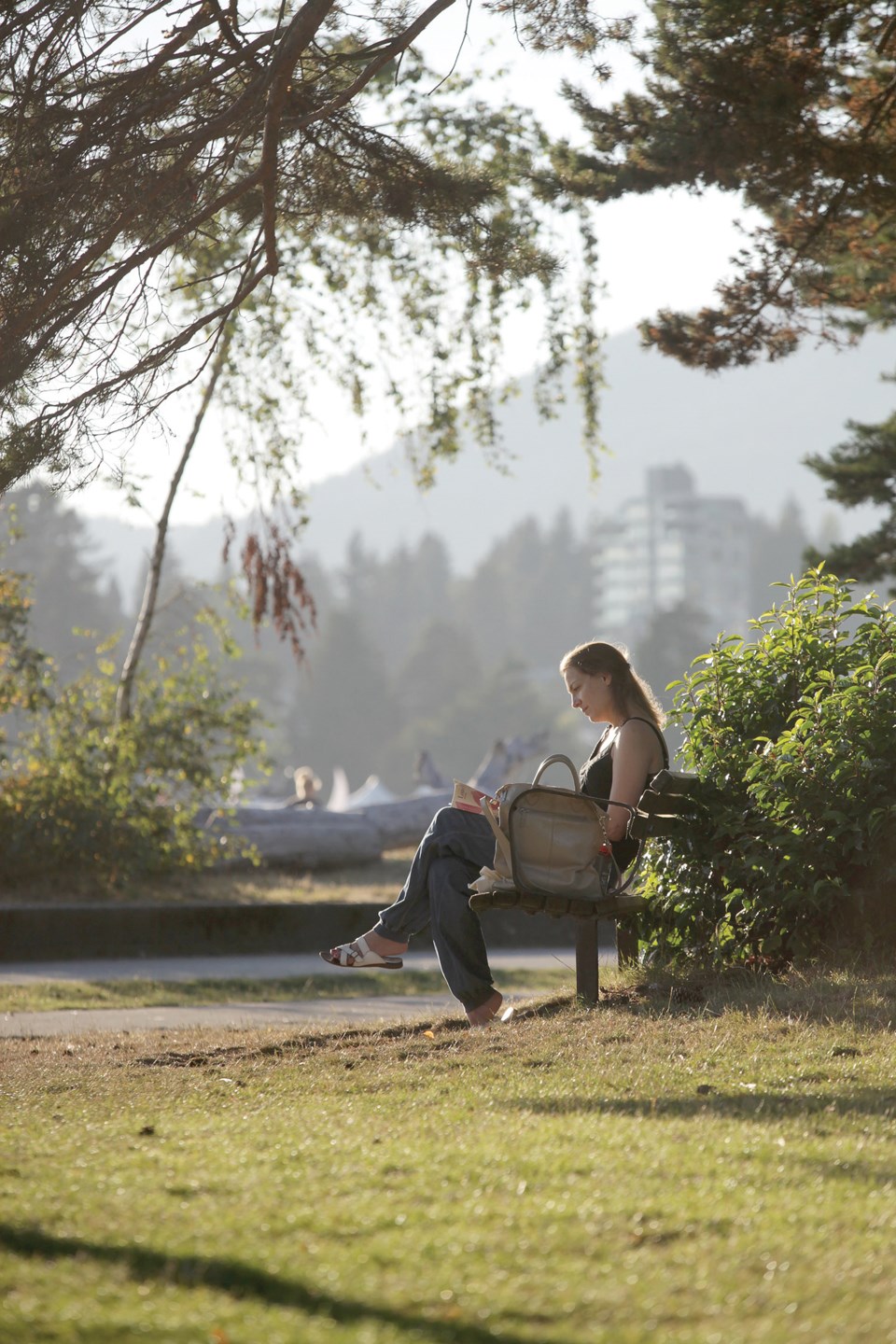 reading at the beach