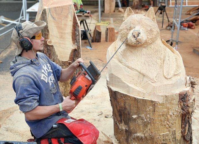 Chainsaw-carvers.24.jpg