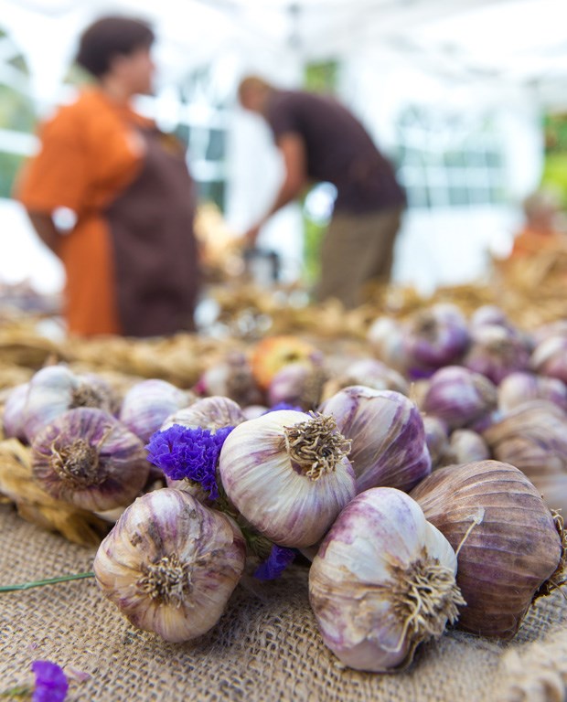 Photos: 2016 Garlic Festival_9
