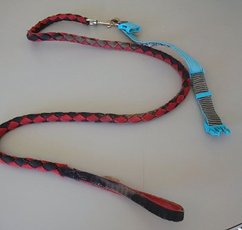 dog collar