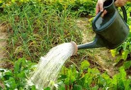 water