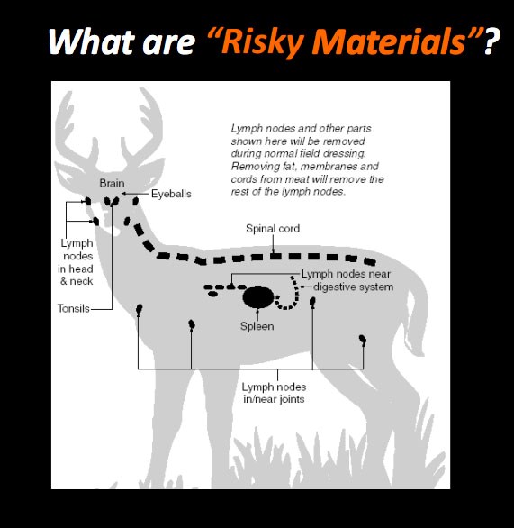CWD risky