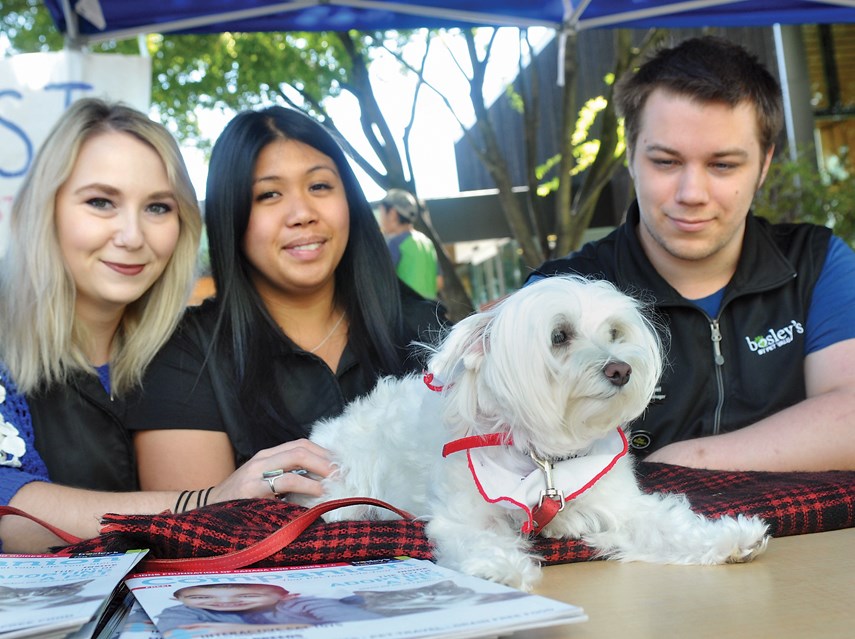 pet fest