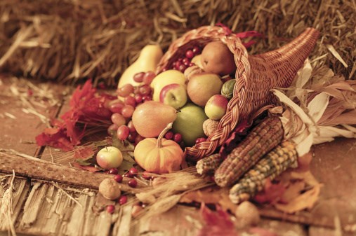 Thanksgiving food drive