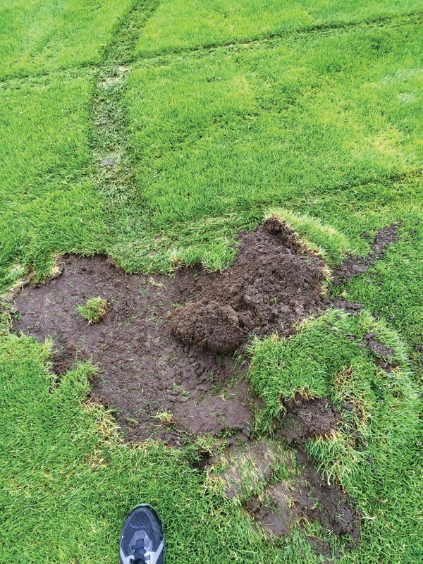 field damage