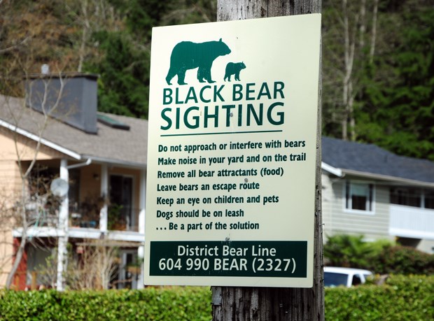 Bear aware sign