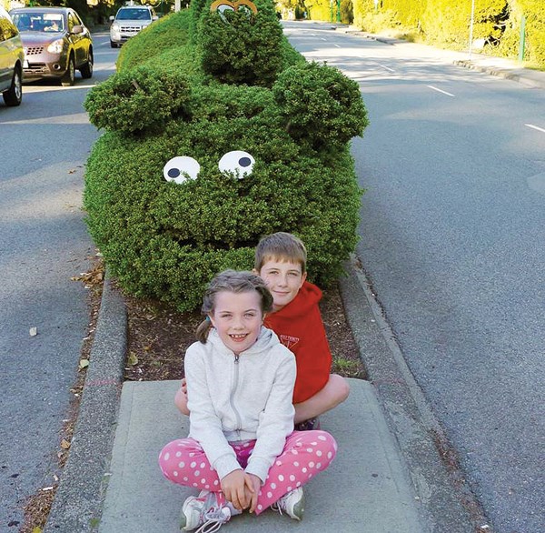 Hedge