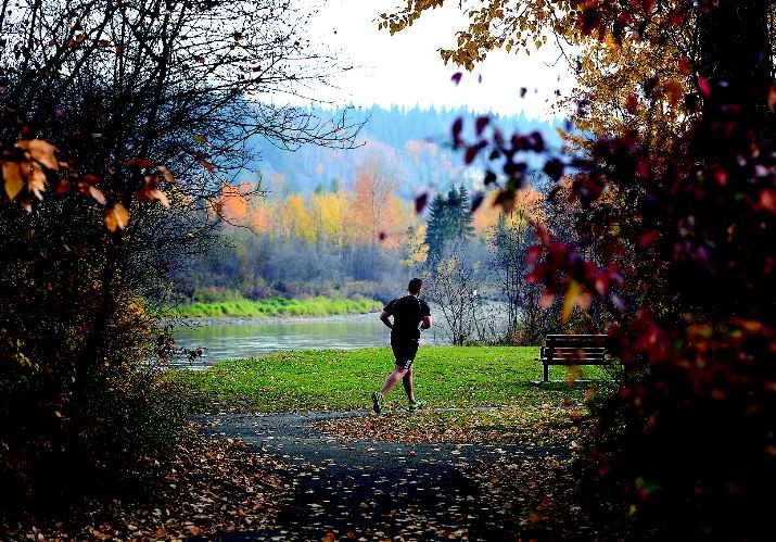 Weather-Network-fall-foreca.jpg