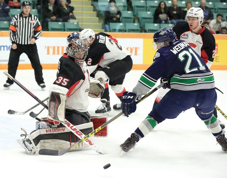 SPORT-cats-goalies.jpg