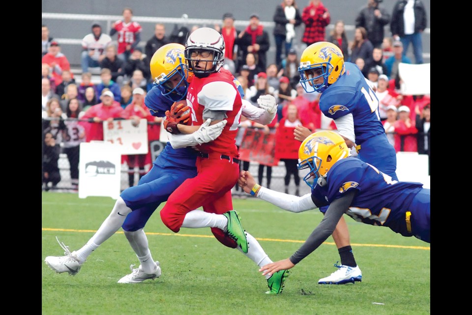 Carson Graham running back Simon Kim takes on a trio of Handsworth Royals during the Buchanan Bowl played Saturday at Carson. The Royals went up big early in the game and then held off a Carson comeback to claim a 33-28 win. photo by Paul McGrath, North Shore News