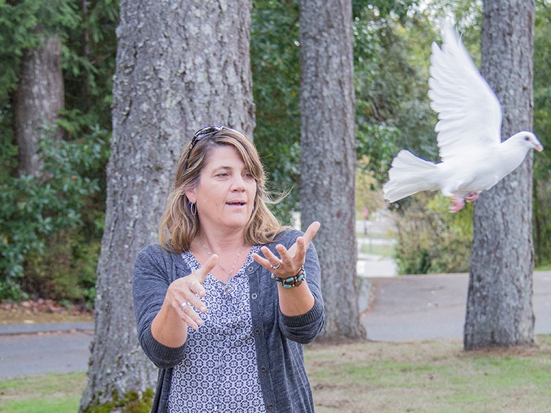 dove child and family