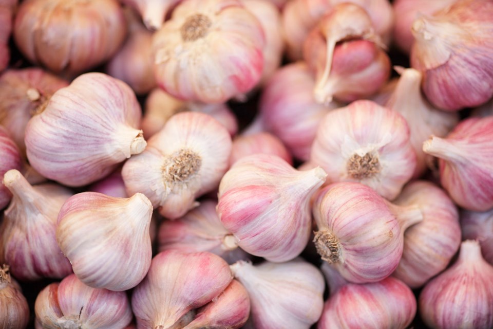 Whole Garlic Soup 0922