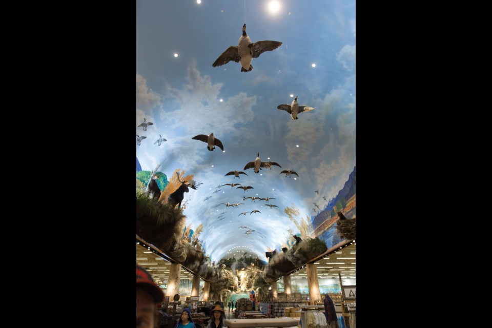 Complete with a mural-covered ceiling, Bass Pro Shops, at approximately 180,000 square feet, is the largest of Tsawwassen Mills’ 16 anchor tenants.