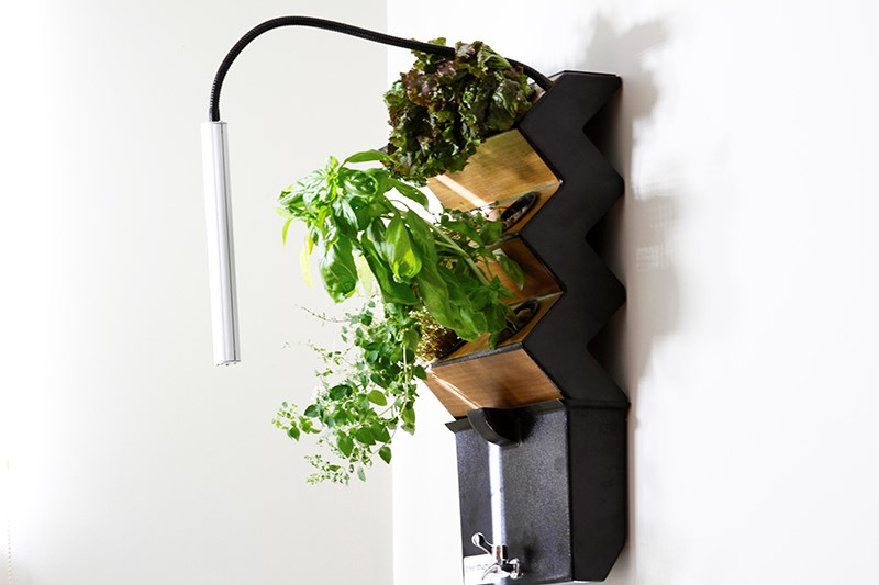 Green Thumb