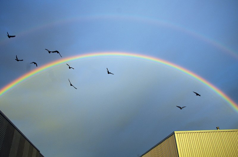 rainbow