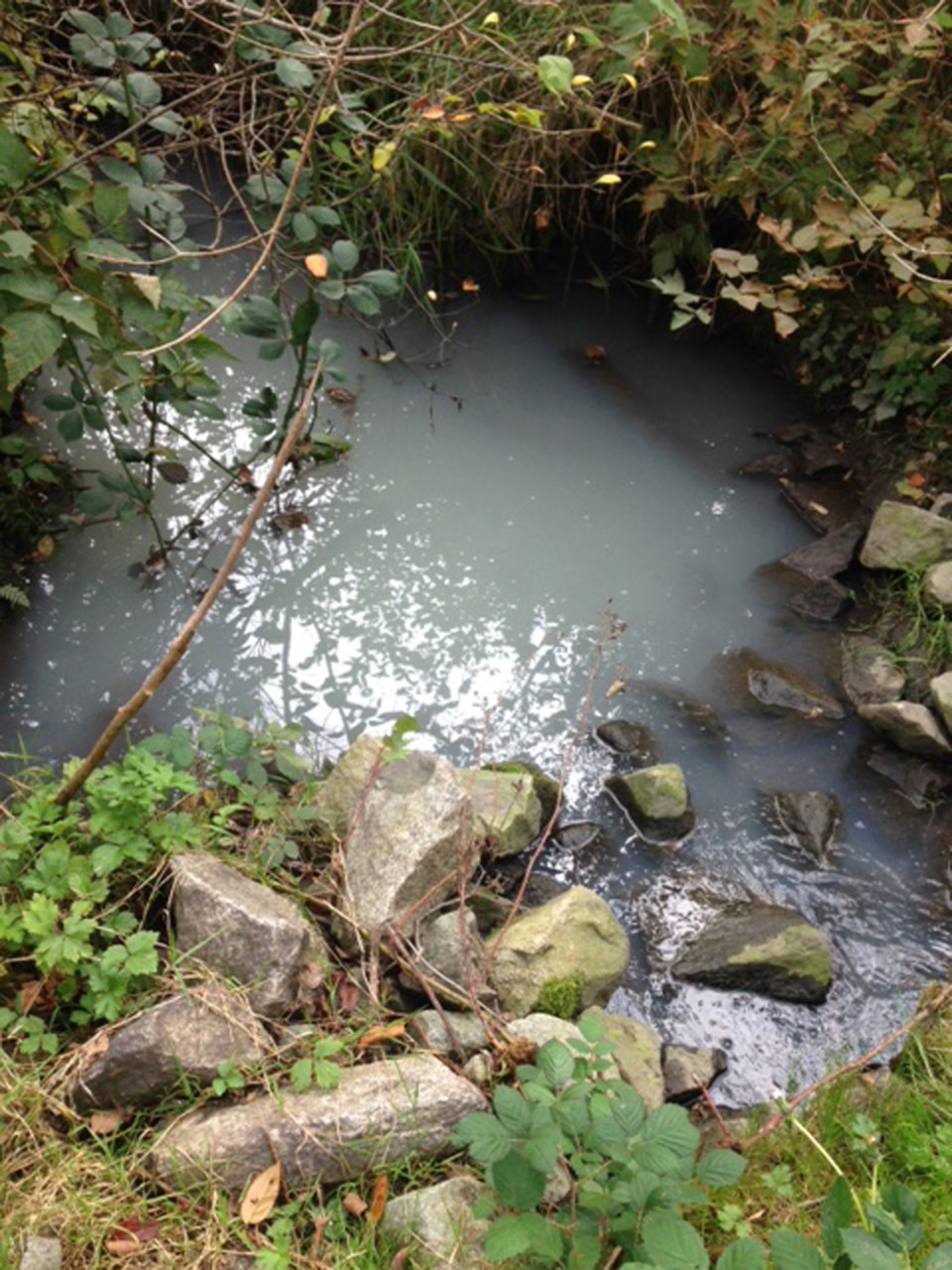 City investigating mysterious milky water in Phillips Creek_1