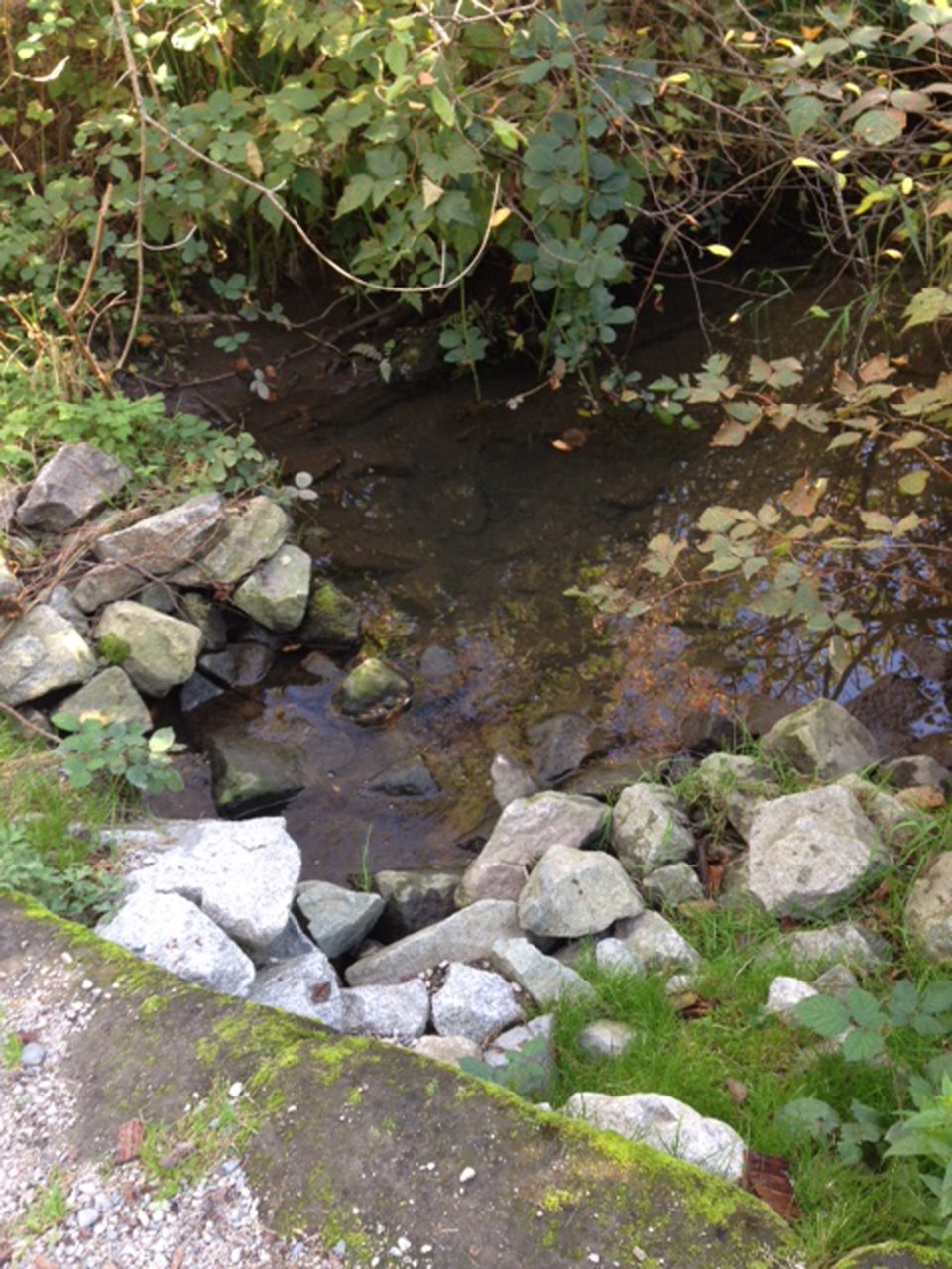 City investigating mysterious milky water in Phillips Creek_2