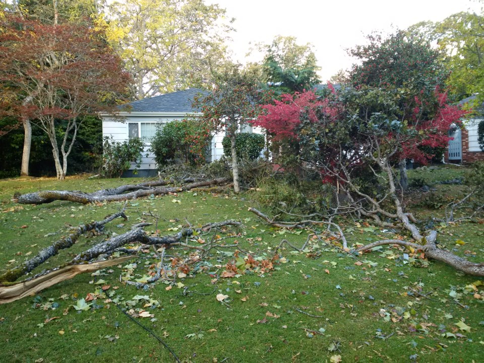 The Uplands area was among those hit by a wind storm Thursday