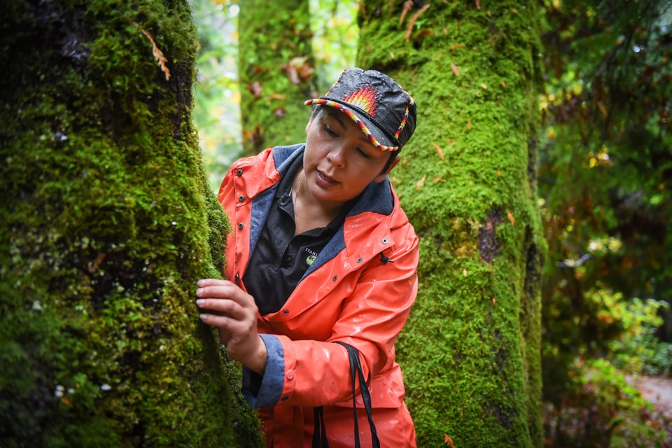 Lauraleigh Paul Yuxweluptun’aat checked a tree in Stanley Park for licorice root. The environmental educator for the Stanley Park Ecology Society led the group’s first West Coast Remedies workshop, Saturday, where participants are taught how to craft their own cures using native plants. Photograph by: Rebecca Blissett