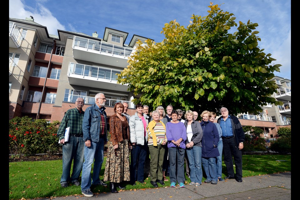 The Dockside strata council appealed to city council to have three fast-growing trees removed from in front of their waterfront condos, as they're growing faster and bigger than the city envisioned and are blocking views and encroaching on their patios.