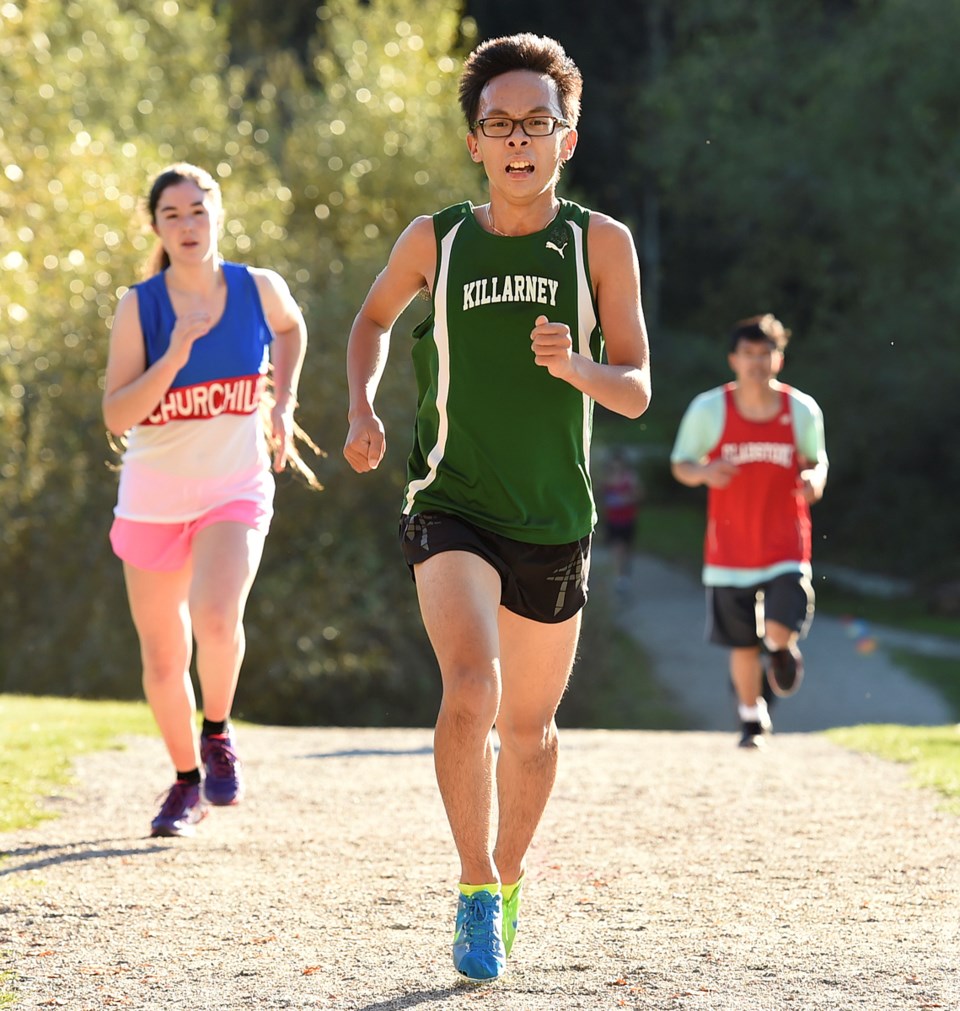 killarney running cross-country