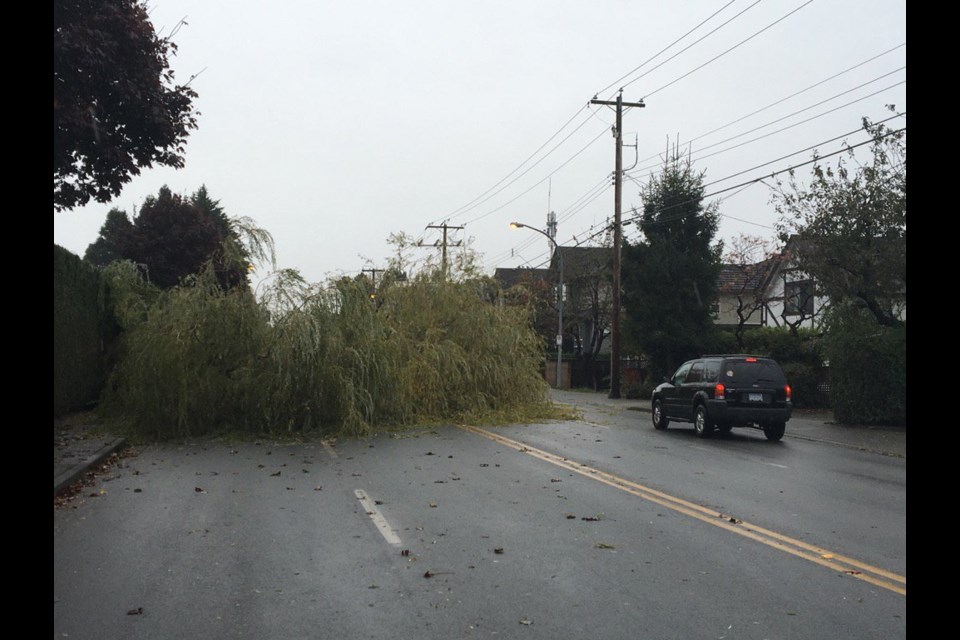 A wind warning has been issued for Richmond. During a 2016 wind storm, a tree fell on No. 2 Road. File photo